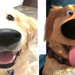 Dug from _Up_