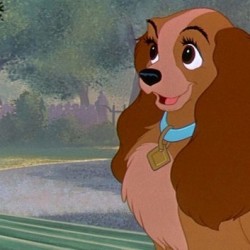 Lady from _Lady and the Tramp_