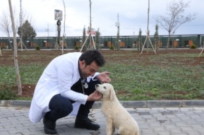 DBB, “Can Dostlara” şifa dağıtıyor