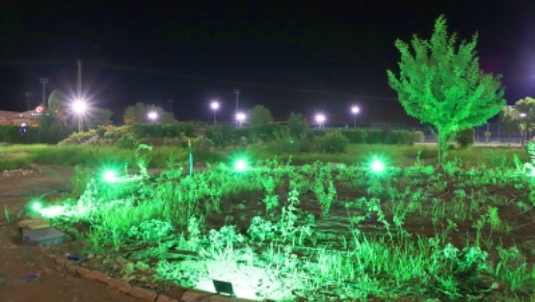Piknik Alanı’nda çalışmalar tamamlanıyor